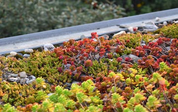 the cost of Pobgreen green roof installation