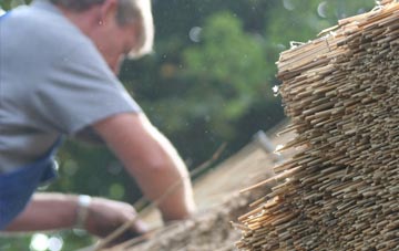 professional Pobgreen thatchers